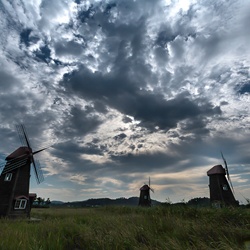 dailyPhoto11
